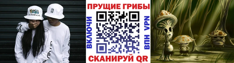 Псилоцибиновые грибы Magic Shrooms Иннополис