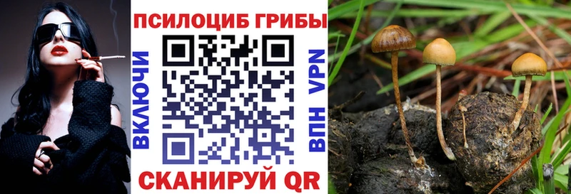 OMG как войти Иннополис Галлюциногенные грибы Magic Shrooms